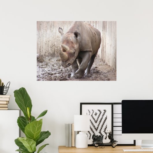 Poster Rhino 1 (Bureau à domicile)