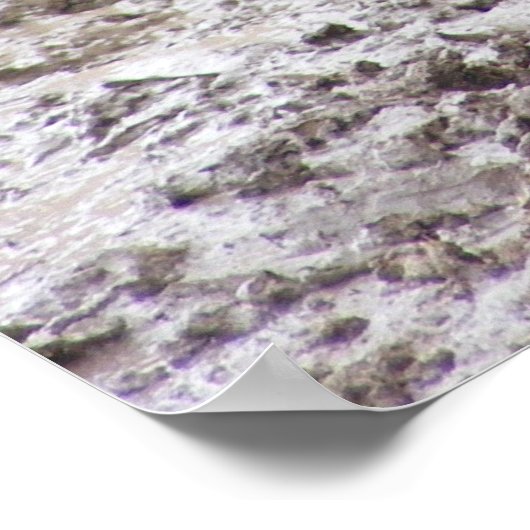 Poster Rhino 1 (Coin)