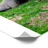 Poster Rhino blanc (Coin)