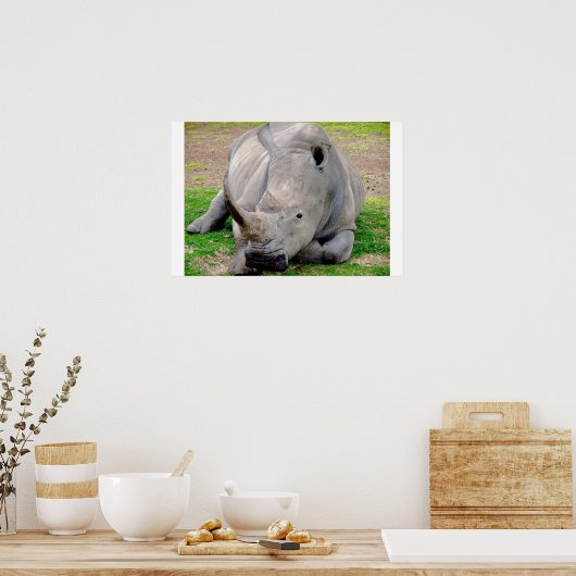 Poster Rhino blanc (Cuisine)
