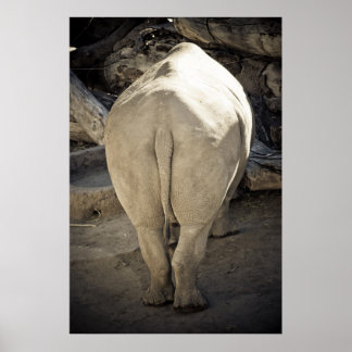 Poster Rhino Butt
