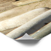 Poster Rhino couché (Coin)