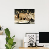 Poster Rhino couché (Bureau à domicile)