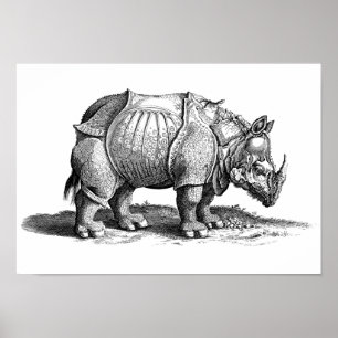 Poster Rhino vintage - Rhino de Dürer