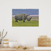 Poster Rhinocéroceros blancs et Flamants roses de moindre (Cuisine)