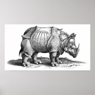 Poster Rhinoceros