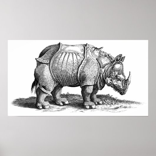 Poster Rhinoceros (Devant)