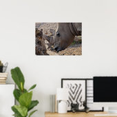 Poster Rhinoceros (Bureau à domicile)