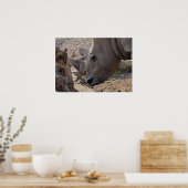 Poster Rhinoceros (Cuisine)