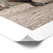 Poster rhinocéros à une corne (Coin)