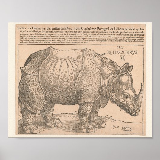 Poster Rhinoceros - Albrecht Dürer 1515 Gravure de coupe (Devant)