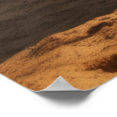 Poster Rhinoceros Animal Nature Majestic Wild (Coin)