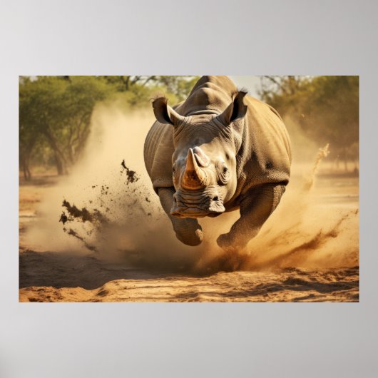 Poster Rhinoceros Animal Nature Majestic Wild (Devant)