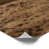 Poster Rhinoceros Animal Nature Majestic Wild (Coin)