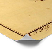 Poster Rhinoceros Beetles (Coin)