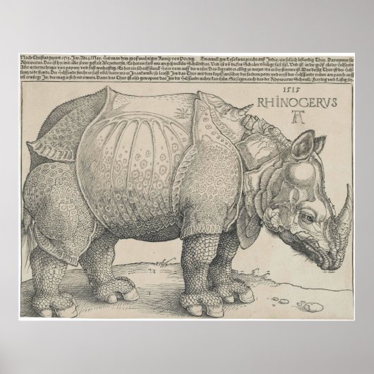 Poster Rhinoceros, coupe de bois par Albrecht Durer (Devant)