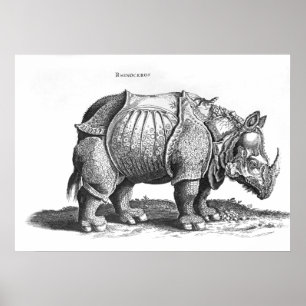 Poster Rhinoceros, de 'Historia Animalium'