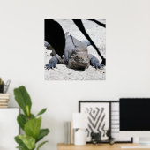 Poster Rhinoceros Iguana (Bureau à domicile)