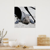 Poster Rhinoceros Iguana (Cuisine)
