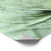 Poster Rhinoceros Iguana (Coin)