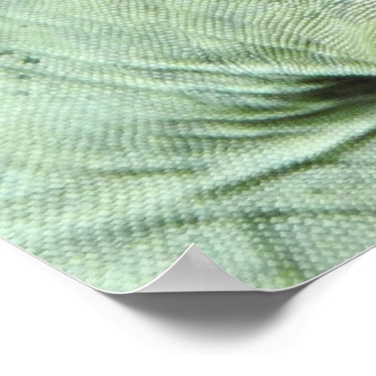 Poster Rhinoceros Iguana (Coin)