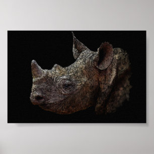 Poster Rhinocéros noir