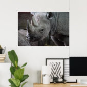 Poster Rhinoceros noir (Bureau à domicile)