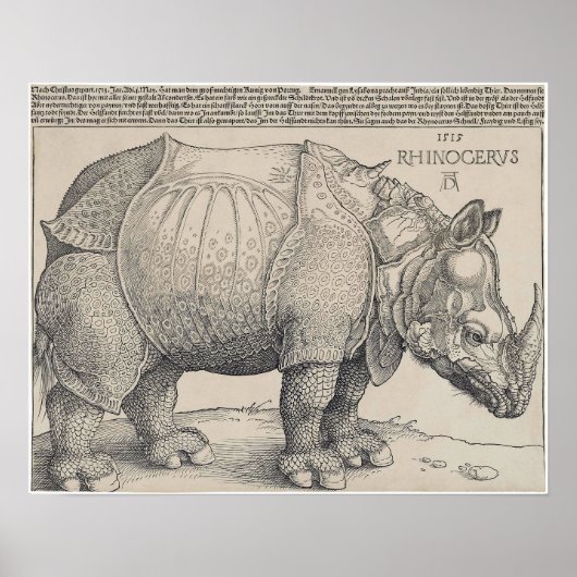 POSTER RHINOCERUS DE DURER 1515 (Devant)