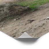 Poster Rhinos blancs du Nord menacés (Coin)