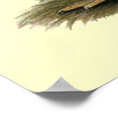 Poster Rhode Island Red Bantams (Coin)