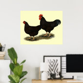 Poster Rhode Island Red Bantams (Bureau à domicile)