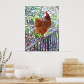 Poster Rhode Island Red Hen (Cuisine)