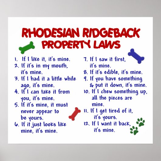 POSTER RHODESIAN RIDGEBACK (Devant)