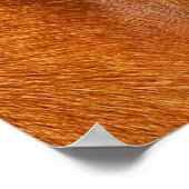 Poster Rhodesian ridgeback (Coin)