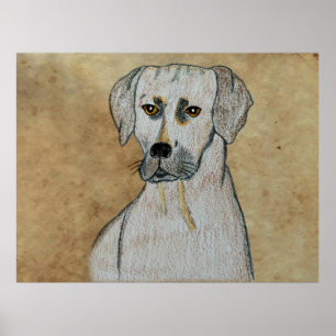 Poster Rhodesian Ridgeback