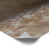 Poster Rhodesian Ridgeback (Coin)