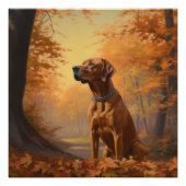 Poster Rhodesian Ridgeback à l'automne Feuilles automne I (Devant)
