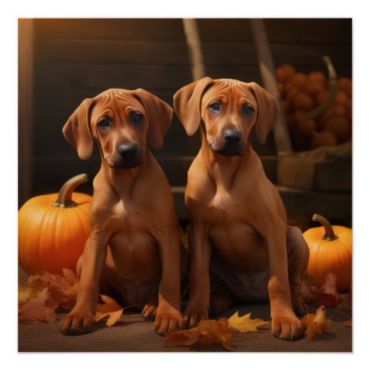 Poster Rhodesian Ridgeback Chiot Automne Citrouille délic (Devant)