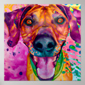 Poster Rhodesian Ridgeback Dog Portrait Art (Devant)