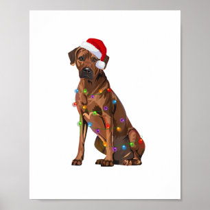 Poster Rhodesian Ridgeback Noël Lumières Noël Chien de No