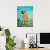 Poster Rhodesian Ridgeback "Tony" sourit (Bureau à domicile)