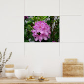 Poster Rhododendron (Cuisine)