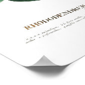 Poster Rhododendron (Coin)