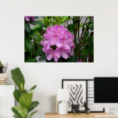 Poster Rhododendron (Bureau à domicile)