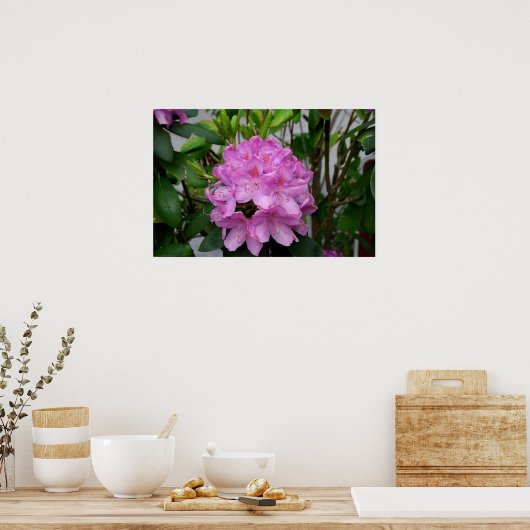 Poster Rhododendron (Cuisine)