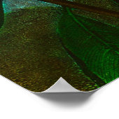 Poster Rhododendron (Coin)