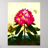 Poster Rhododendron (Devant)