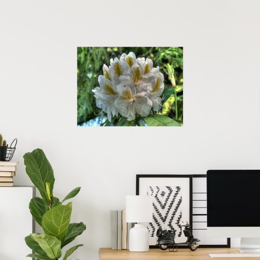 Poster Rhododendron blanc (Bureau à domicile)