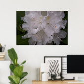 Poster Rhododendron blanc en fleurs (Bureau à domicile)