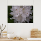 Poster Rhododendron blanc en fleurs (Cuisine)